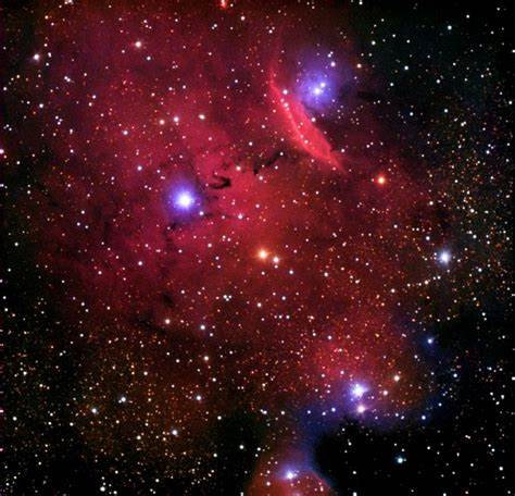 NGC-6559